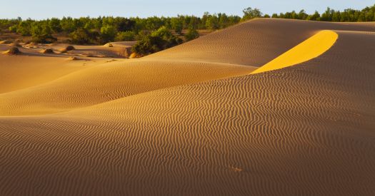 Experience The Amazing Red Sand Dune