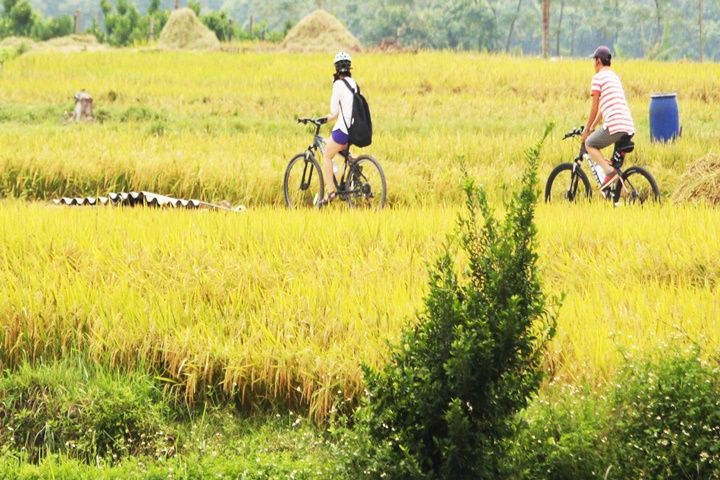 4-Days Southern Vietnam Cycling Package Tour
