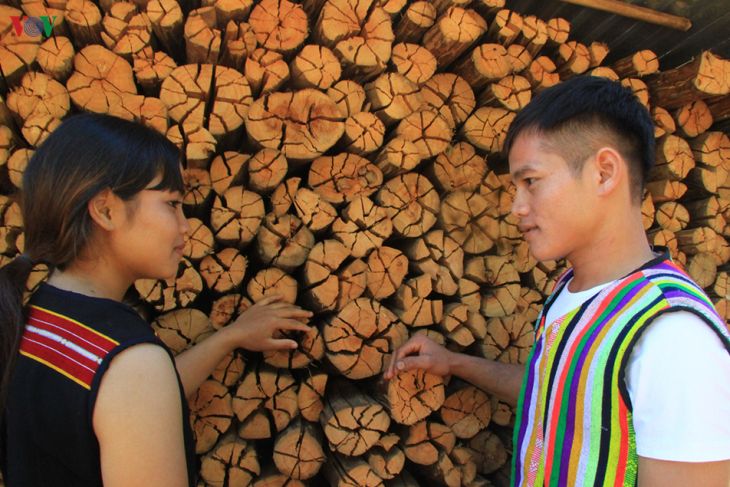 Unique: Firewood Cutting To Get Husband Of Trieng Young Girls – Tay Nguyen