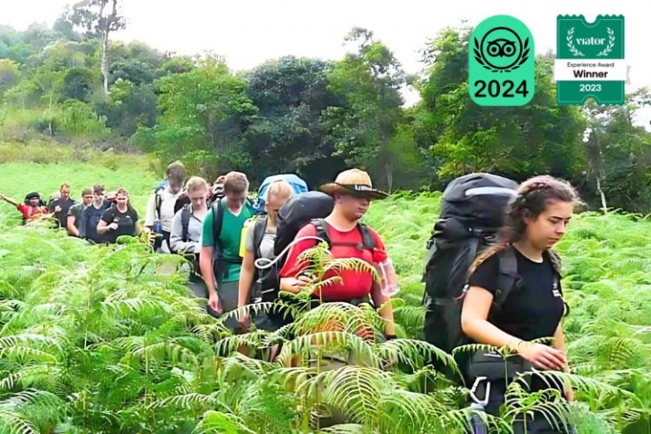 Full Day Hike In Yok Don National Park Tour
