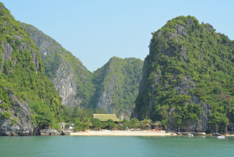 Freedom island