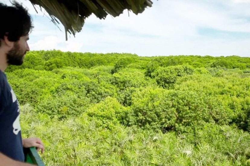 Appreciate The Beautiful Nature In Can Gio - Vam Sat Eco-Park