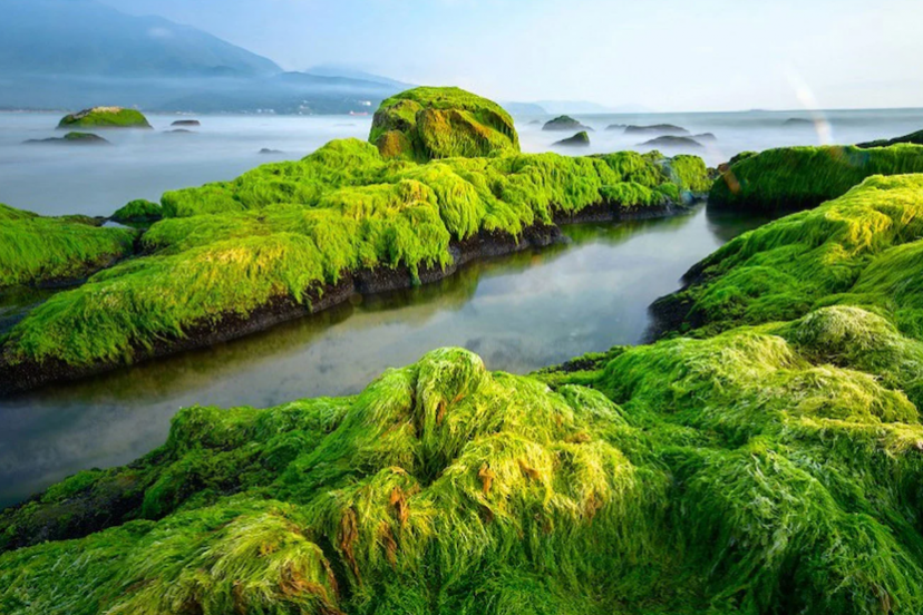 Top 7 Most Beautiful Beaches In Da Nang – Breathtaking Coastal Escapes You Can't Miss