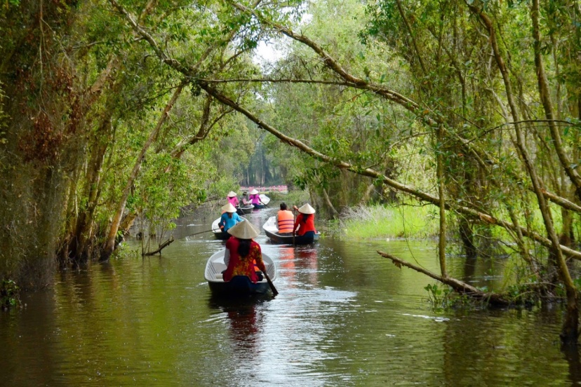 Top 6 Ecotourism Destinations In The Mekong Delta That Attract Visitors