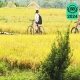 4-Days Southern Vietnam Cycling Package Tour