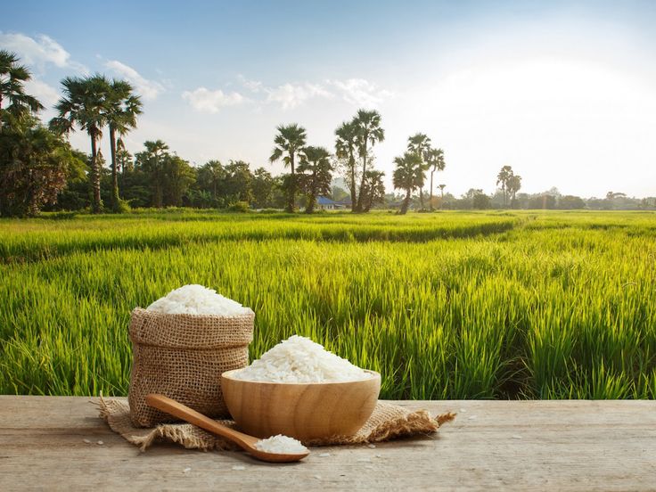 The Mekong Delta, located in the south, is known as the “Rice Bowl” of Vietnam