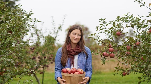 discover colorful fruit orchards famous the Mekong Delta 