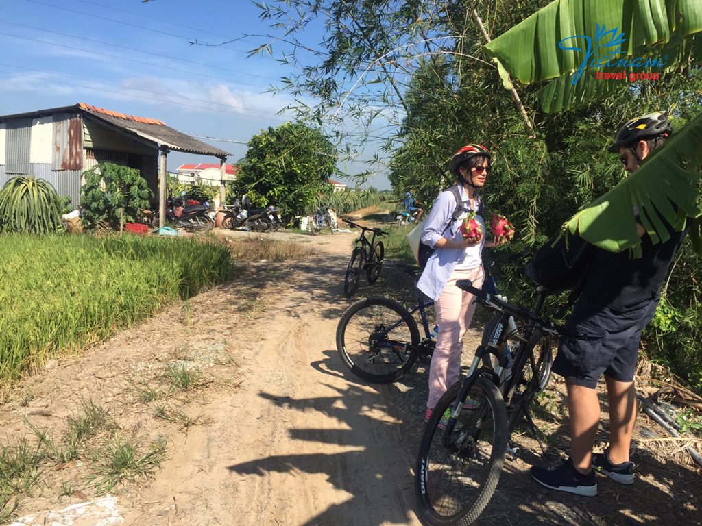 Mekong-Delta-Cycling-Tour-Dragon-Fruit-Vietnam-Travel-Group