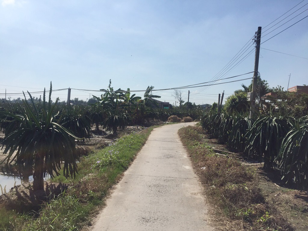 Mekong-Delta-Country-Road-Vietnam-Travel-Group