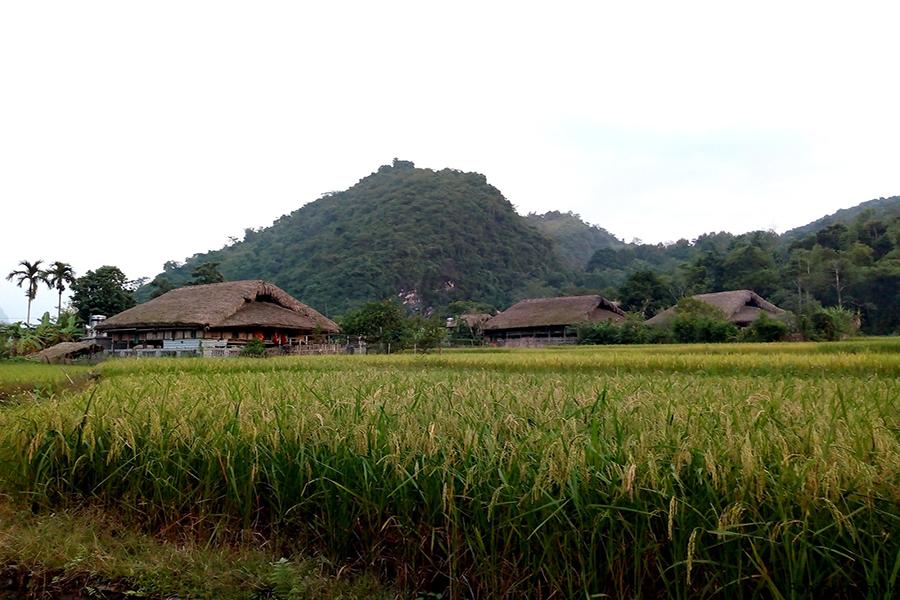 Ba Be lake and Ha Giang highlight tour