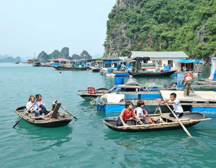 6 days Hanoi Sapa Ha Long Bay tour
