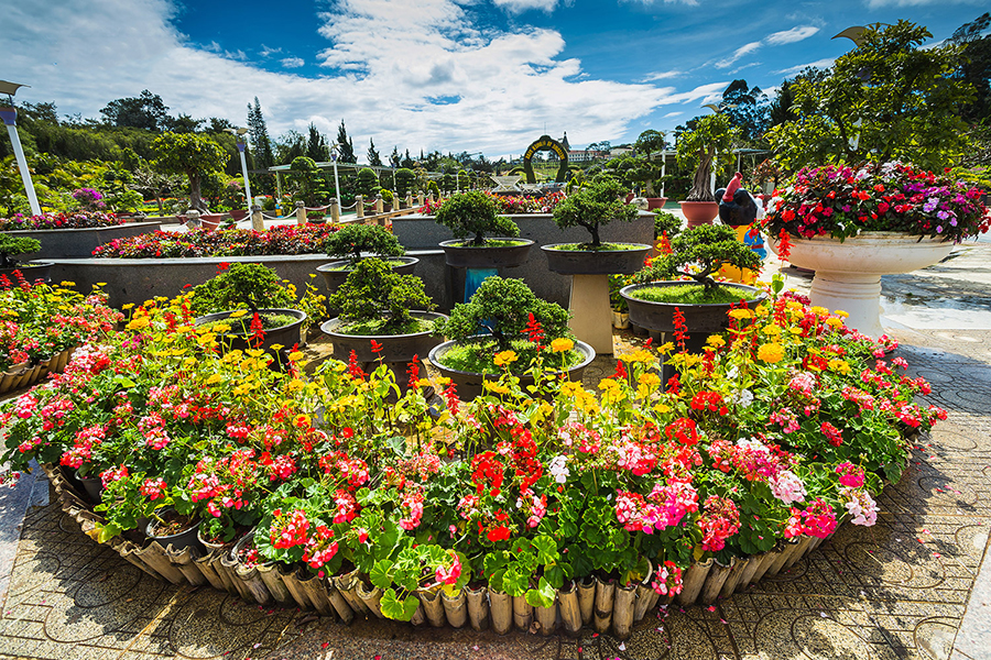 Da Lat cycling tour in 1 day