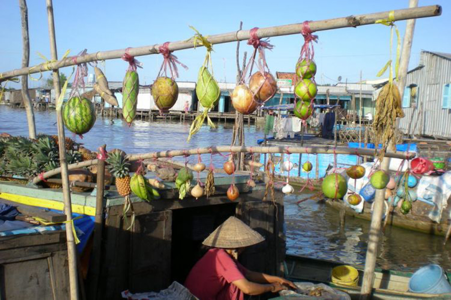 Cu Chi Tunnels and Mekong Delta highlight tour