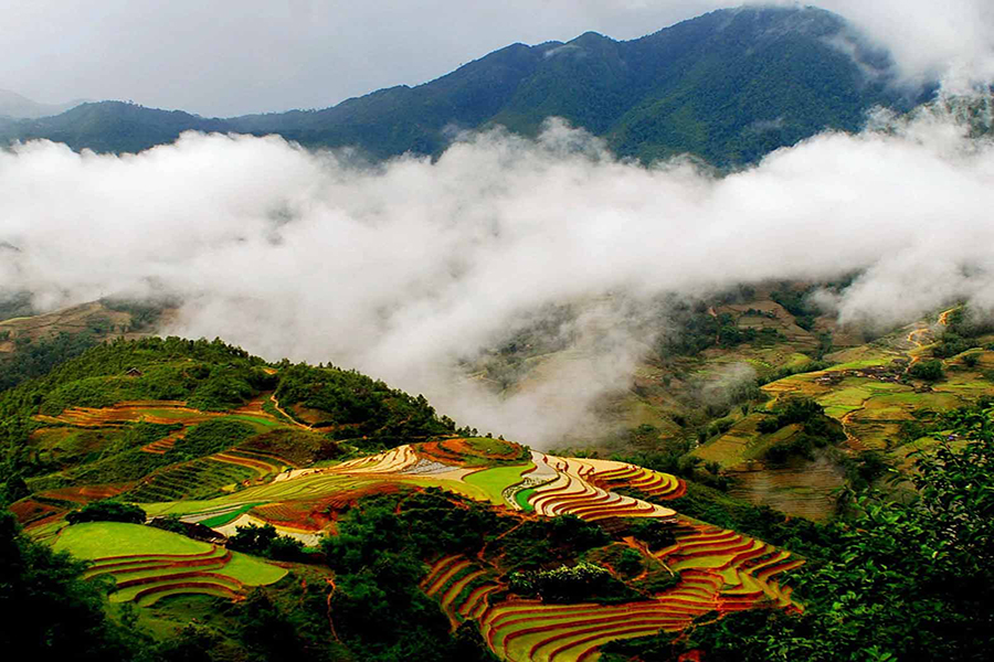 Sapa trekking tour