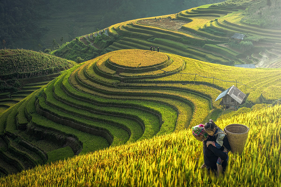 Sapa trekking tour