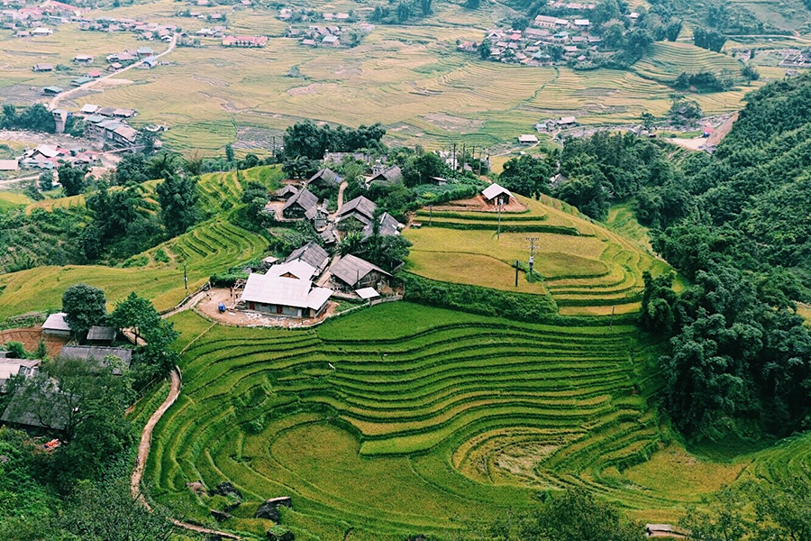 Sapa trekking tour