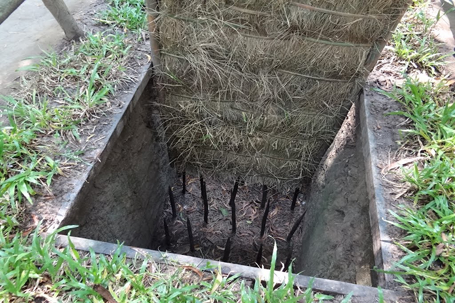 Cu Chi Tunnels boat and bus tour