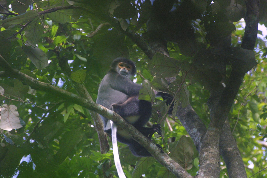 Cat Tien national park 2 days tour