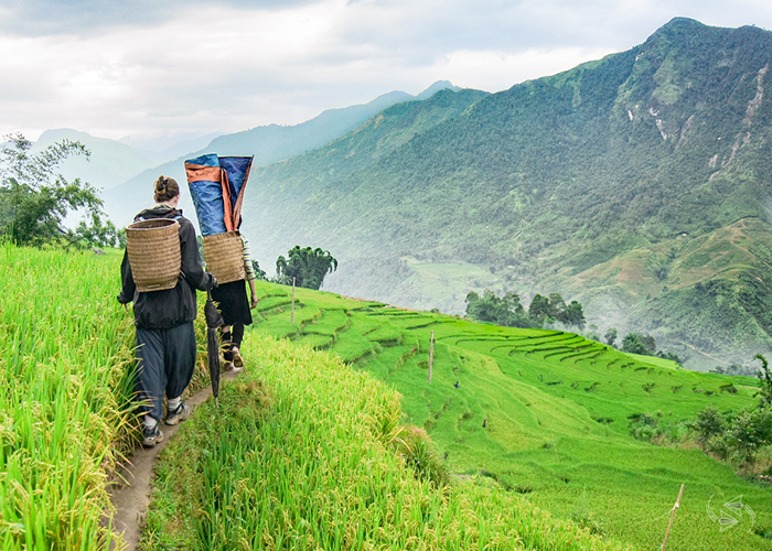 Sapa trekking one day tour, Vietnam